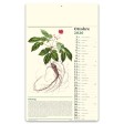 ERBORISTERIA FullGadgets.com
