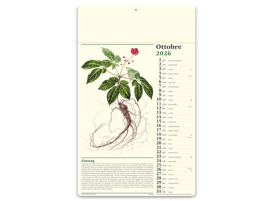 ERBORISTERIA FullGadgets.com