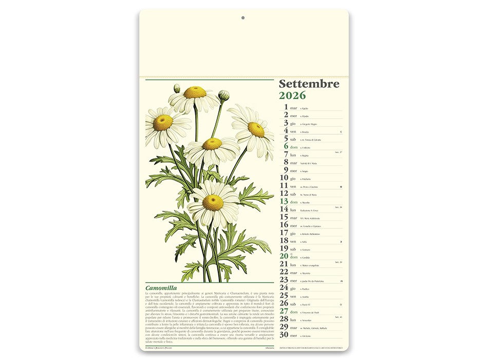 ERBORISTERIA FullGadgets.com