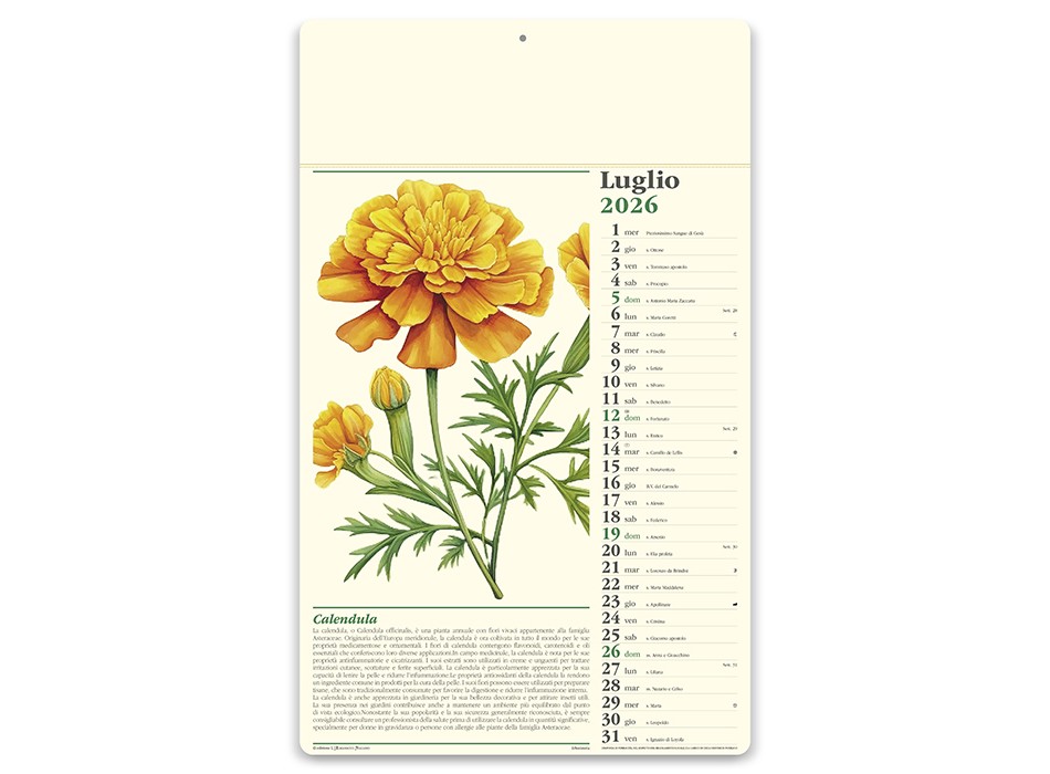 ERBORISTERIA FullGadgets.com