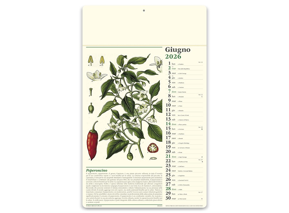 ERBORISTERIA FullGadgets.com