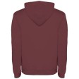 Felpa con cappuccio da uomo da 280 g/m² Urban FullGadgets.com