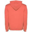 Felpa con cappuccio da uomo da 280 g/m² Urban FullGadgets.com