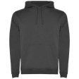 Felpa con cappuccio da uomo da 280 g/m² Urban FullGadgets.com