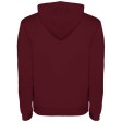 Felpa con cappuccio da uomo da 280 g/m² Urban FullGadgets.com