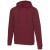 Felpa con cappuccio unisex Spinel