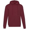Felpa con cappuccio unisex da 280 g/m² Jasper FullGadgets.com