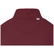 Felpa con cappuccio unisex da 280 g/m² Jasper FullGadgets.com
