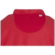 Felpa con cappuccio unisex in cotone biologico certificato OCS da 280 g/m² Jasper FullGadgets.com