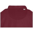Felpa con cappuccio unisex in cotone biologico certificato OCS da 280 g/m² Jasper FullGadgets.com