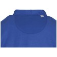 Felpa con cappuccio unisex in cotone biologico certificato OCS da 280 g/m² Jasper FullGadgets.com