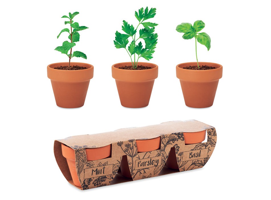 FLOWERPOT - Set di erbe in terracotta FullGadgets.com