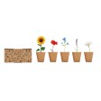 FLOWERS - Kit per coltivare fiori FullGadgets.com