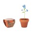 Vaso Con Semi Fiore "Non Ti Scordar Di Me" - Forget Me Not Personalizzabile