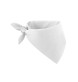 Foulard/bandana 100% cotone FullGadgets.com