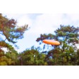 Frisbee Jolie FullGadgets.com