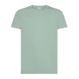 Gemini Organic T-shirt FullGadgets.com