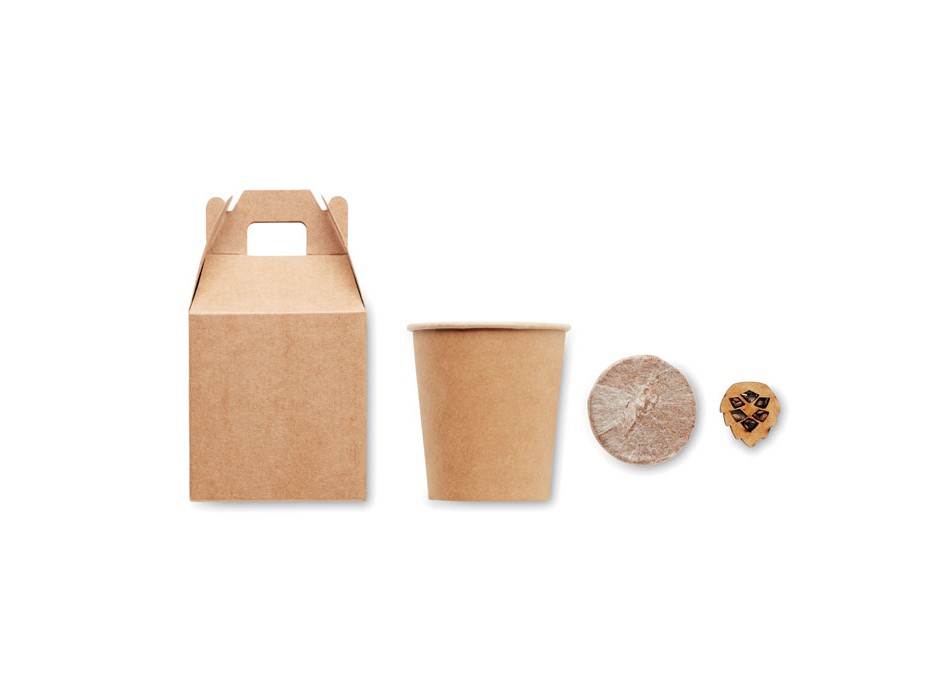 GROWTREE™ - Set in legno di pino FullGadgets.com