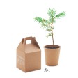 GROWTREE™ - Set in legno di pino FullGadgets.com