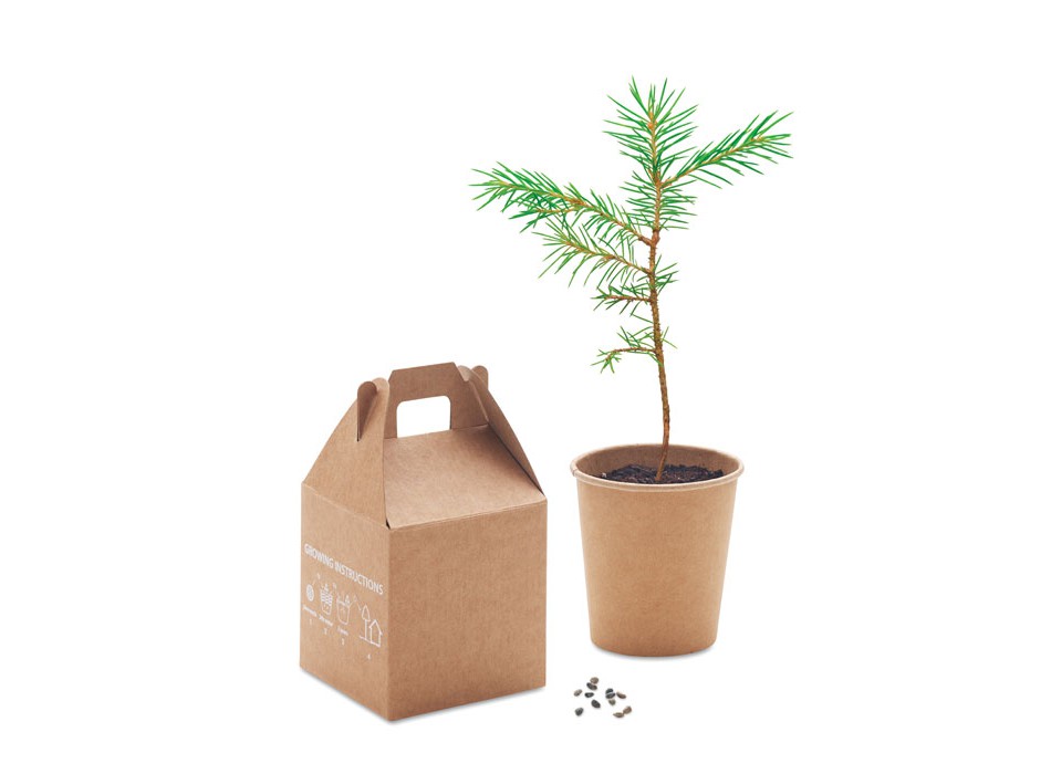 GROWTREE™ - Set in legno di pino FullGadgets.com