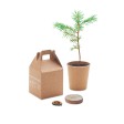 GROWTREE™ - Set in legno di pino FullGadgets.com