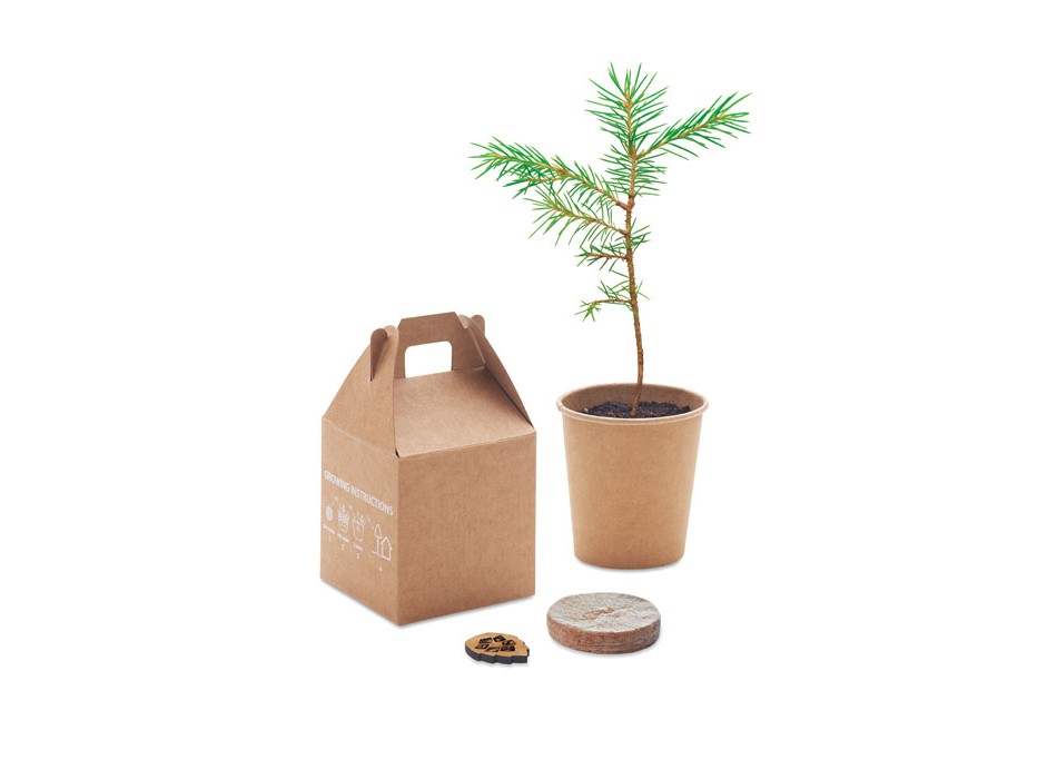 GROWTREE™ - Set in legno di pino FullGadgets.com