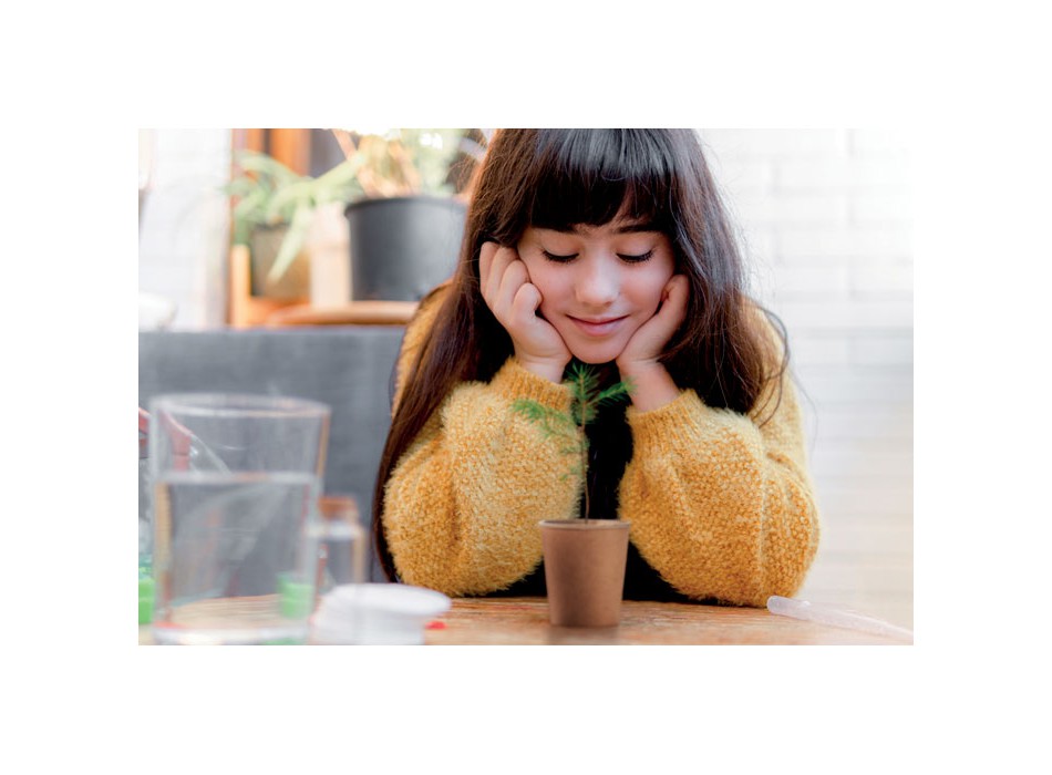 GROWTREE™ - Set in legno di pino FullGadgets.com