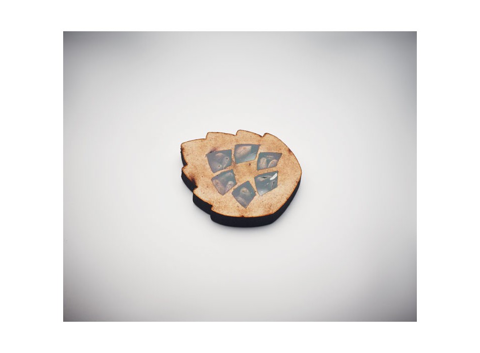 GROWTREE™ - Set in legno di pino FullGadgets.com