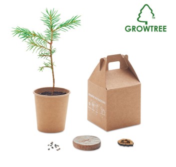 GROWTREE™ - Set in legno di pino FullGadgets.com