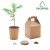 Growtree™ - Set In Legno Di Pino Personalizzabile