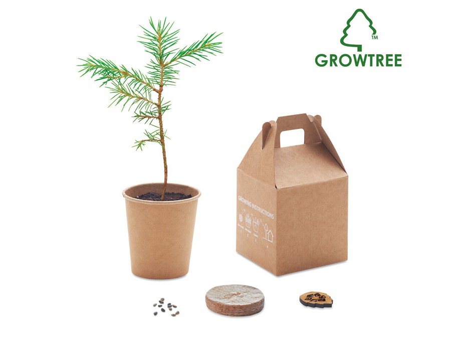 GROWTREE™ - Set in legno di pino FullGadgets.com