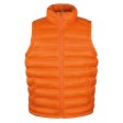 Ice Bird Padded Gilet FullGadgets.com