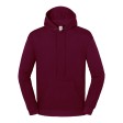 Iconic 250 Hooded Sweat FullGadgets.com
