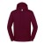 Iconic 250 Hooded Sweat