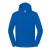Iconic 250 Hooded Sweat