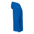Iconic 250 Hooded Sweat FullGadgets.com