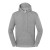 Iconic 250 Hooded Sweat