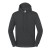 Iconic 250 Hooded Sweat