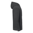 Iconic 250 Hooded Sweat FullGadgets.com