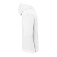 Iconic 250 Hooded Sweat FullGadgets.com
