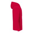 Iconic 250 Hooded Sweat FullGadgets.com