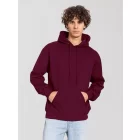 Iconic 250 Hooded Sweat FullGadgets.com