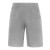 Iconic 250 Shorts
