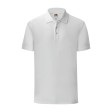 Iconic Polo FullGadgets.com