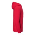 Iconic Premium Hooded Sweat FullGadgets.com