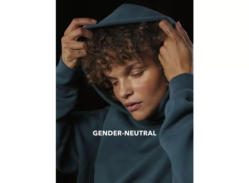 Influence Hoodie FullGadgets.com