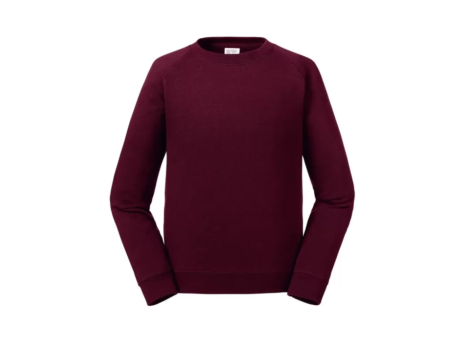 Kids Authentic Raglan Sweat FullGadgets.com