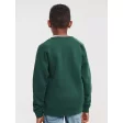Kids Authentic Raglan Sweat FullGadgets.com