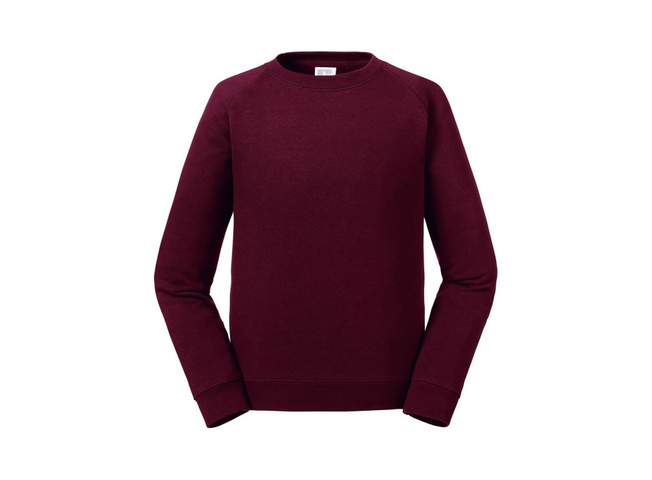 Kids Authentic Raglan Sweat FullGadgets.com