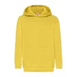 Kids Classic Hooded Sweat FullGadgets.com